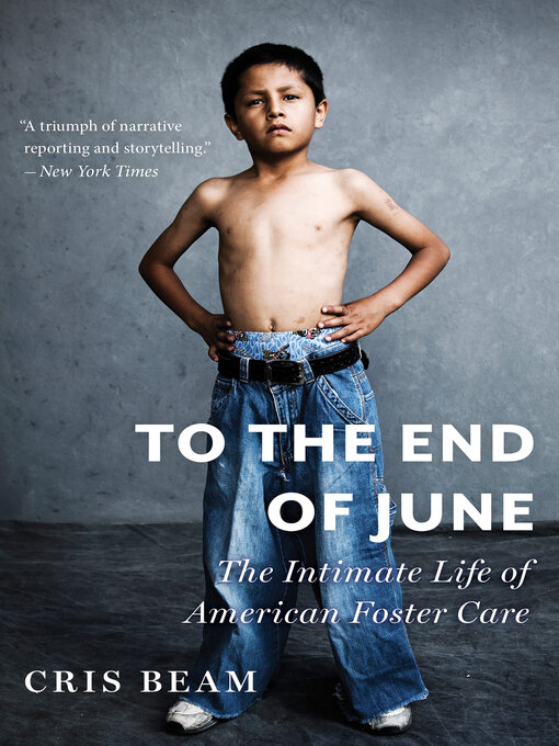 To the End of June: The Intimate Life of American Foster Care 책표지
